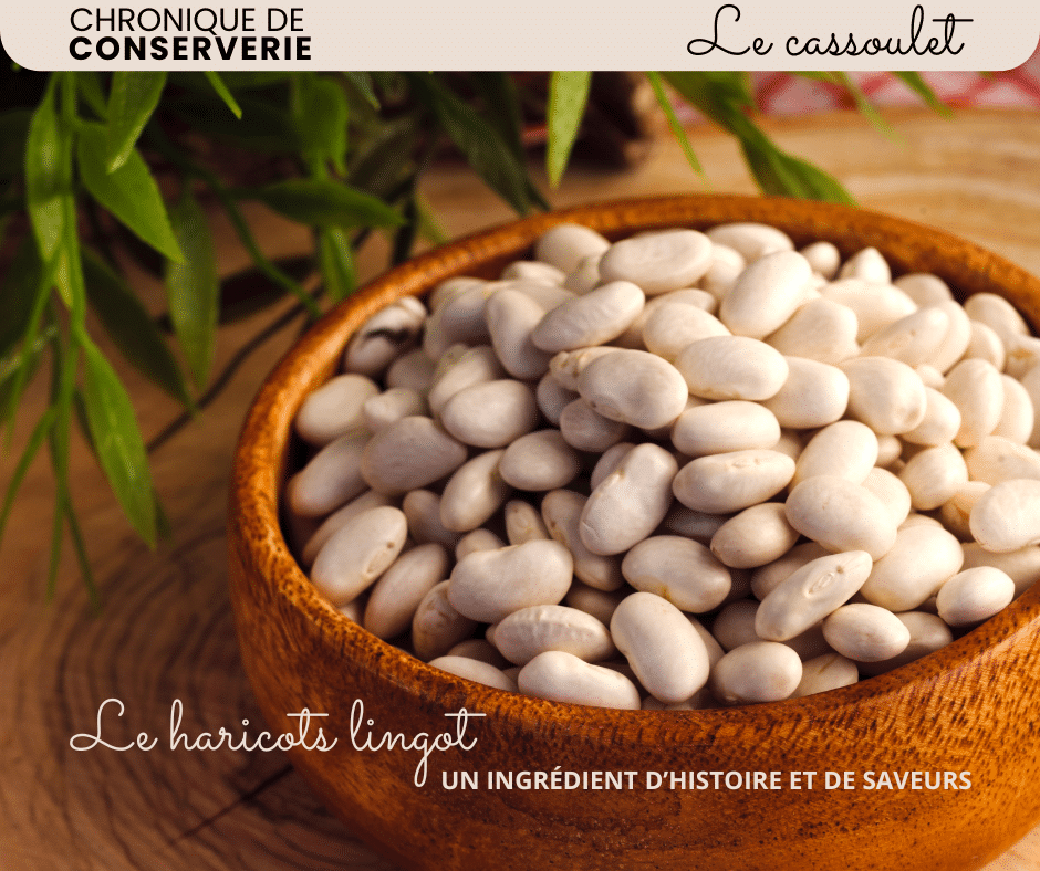 Chronique De Conserverie Le Haricot Lingot Un Ingrédient D’Histoire Et De Saveurs